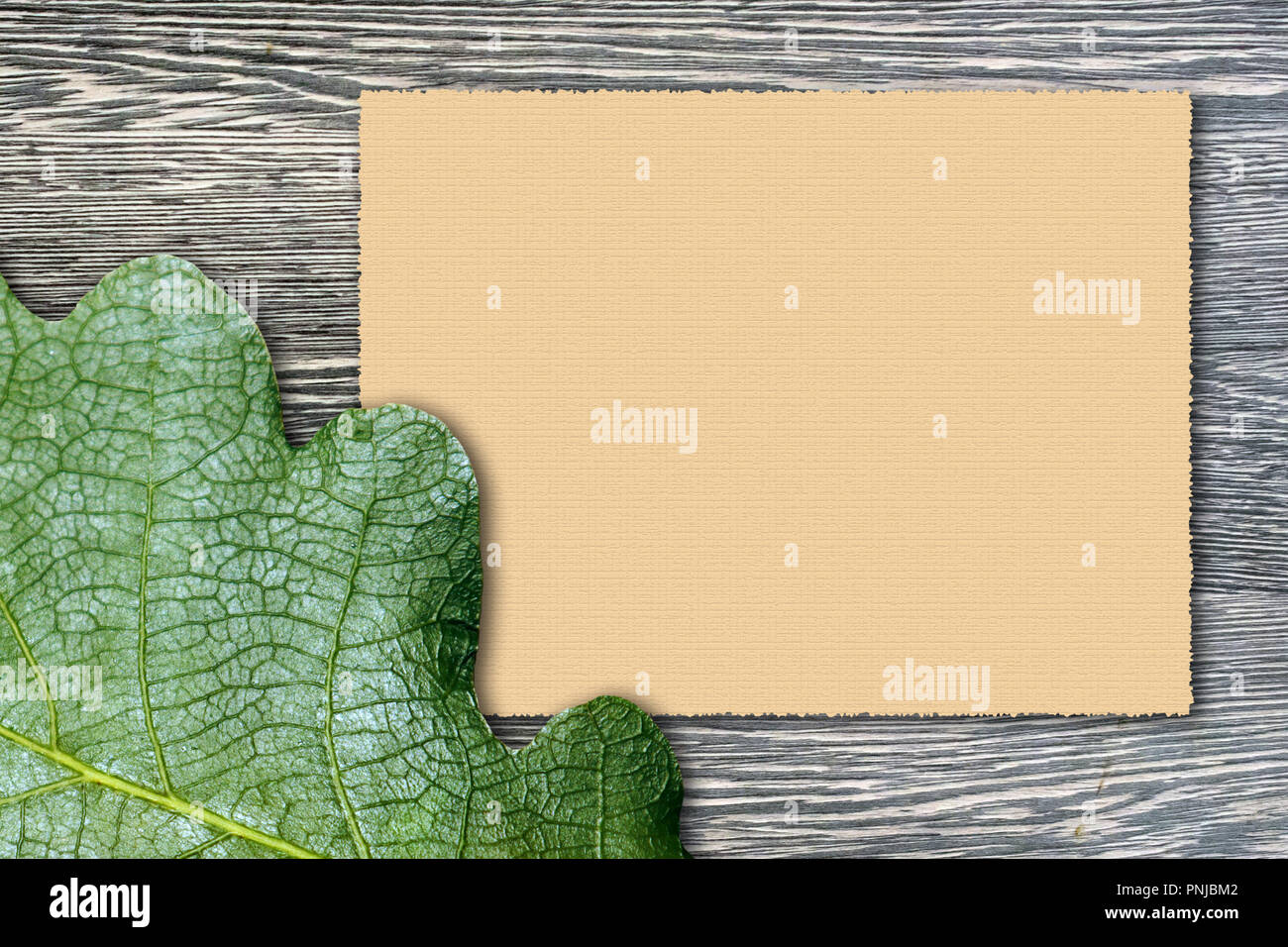 Greeting card template, green oak leaf and empty sheet of embossed paper on grey wooden board. May be used as background Stock Photo