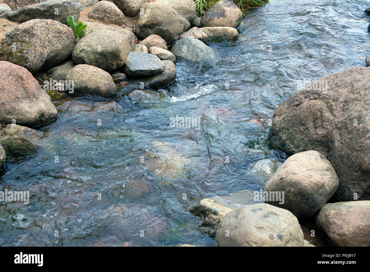 Small creek with stony bottom, rapid stream running between boulders Stock Photo