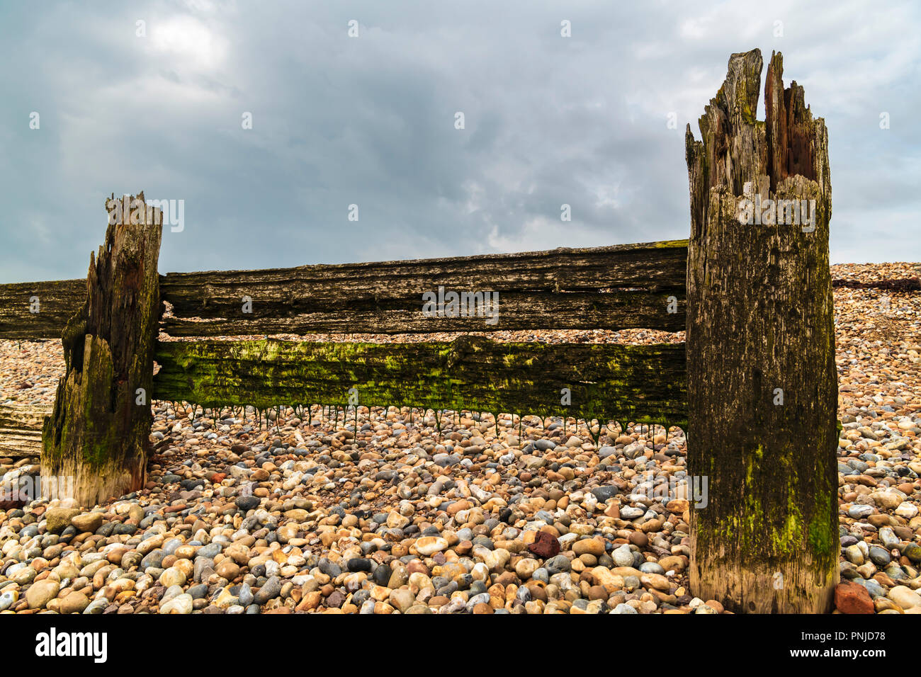 Some of the old sea defences in the shingle at the entrance to Rye harbour, East Sussex, England. 30 August 2018 Stock Photo