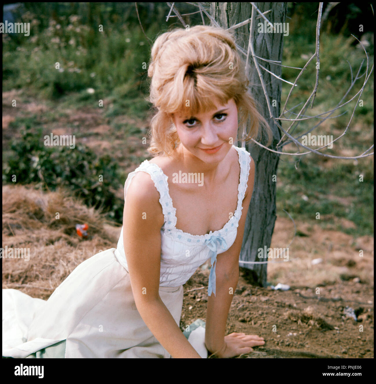 Diane Clare Stock Photos & Diane Clare Stock Images - Alamy