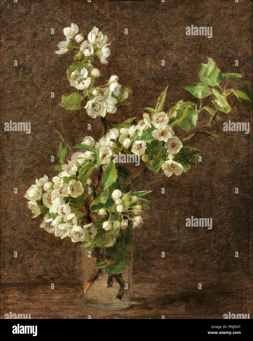 Fantin-Latour  Henri Theodore - Apple Blossoms Stock Photo