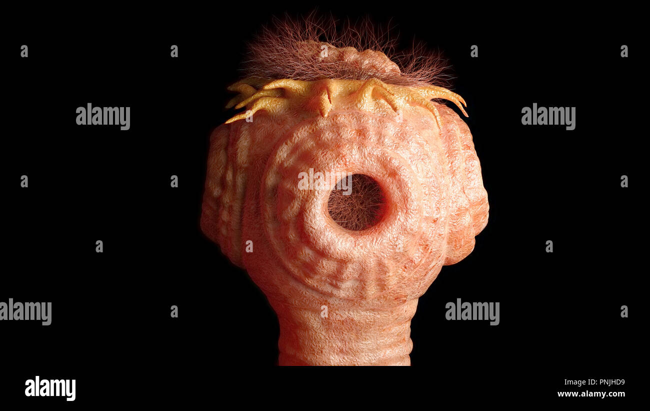 Detailed tapeworm under the microscope-3d rendering Stock Photo