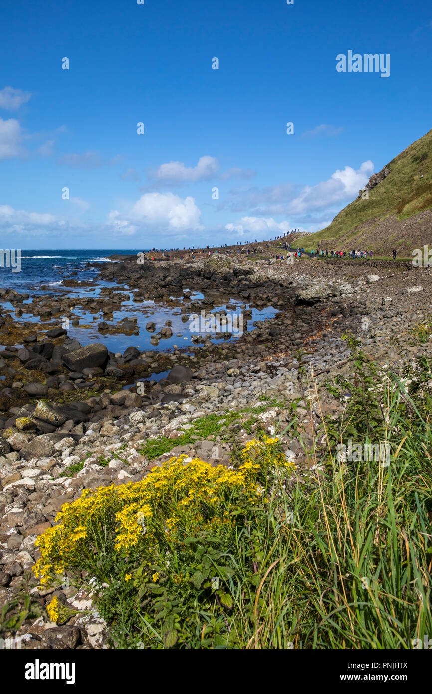 The view looking towards the Giant’s Causeway, in Northern Ireland. Stock Photo