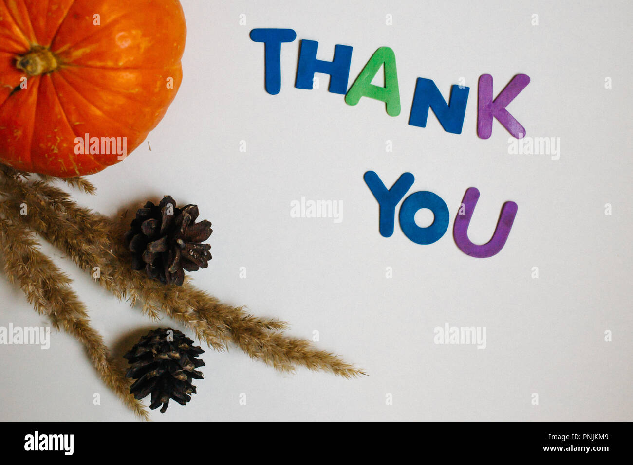 Top view pine cones, pumpkin and Thank you inscription. Fall background ...
