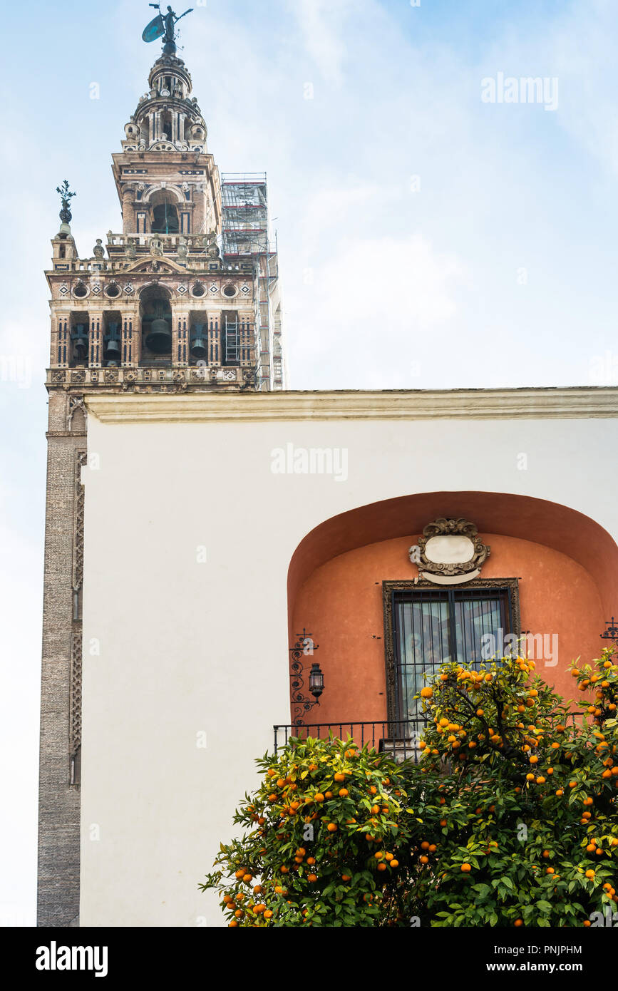 La Giralda Tower fortissima in Sevilla city, Spain Stock Photo