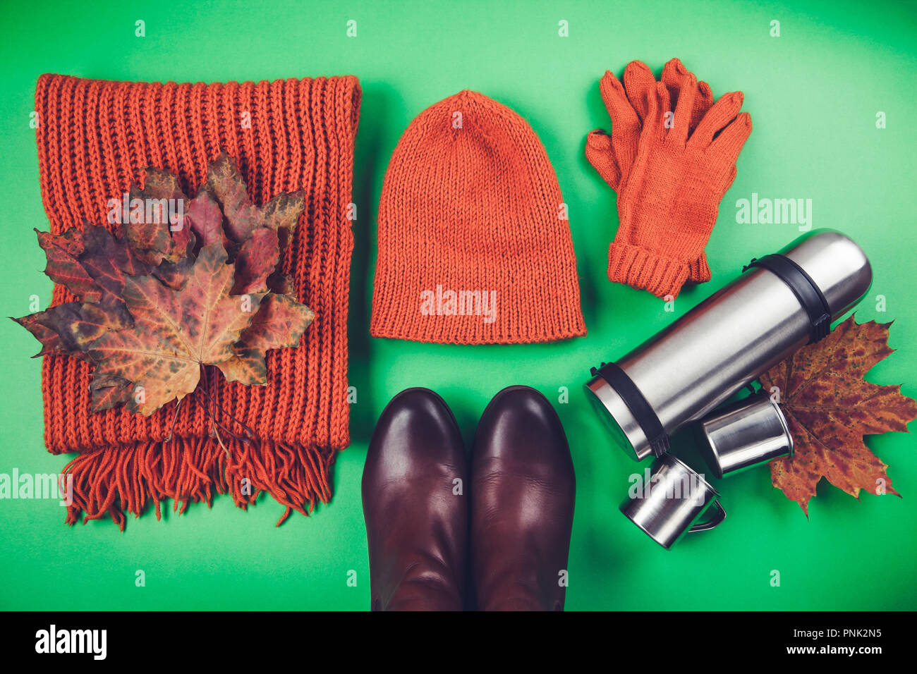 Autumn female outfit. Set of clothes, shoes and accessories on green