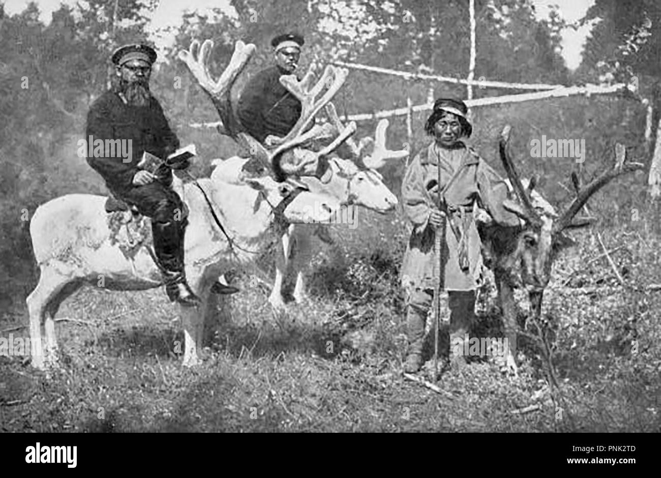 Korea 1904, a view of  Russians  patrolling the border and riding either Caspian Red or  Bactrian deer. Also a native Korean tribesman Stock Photo