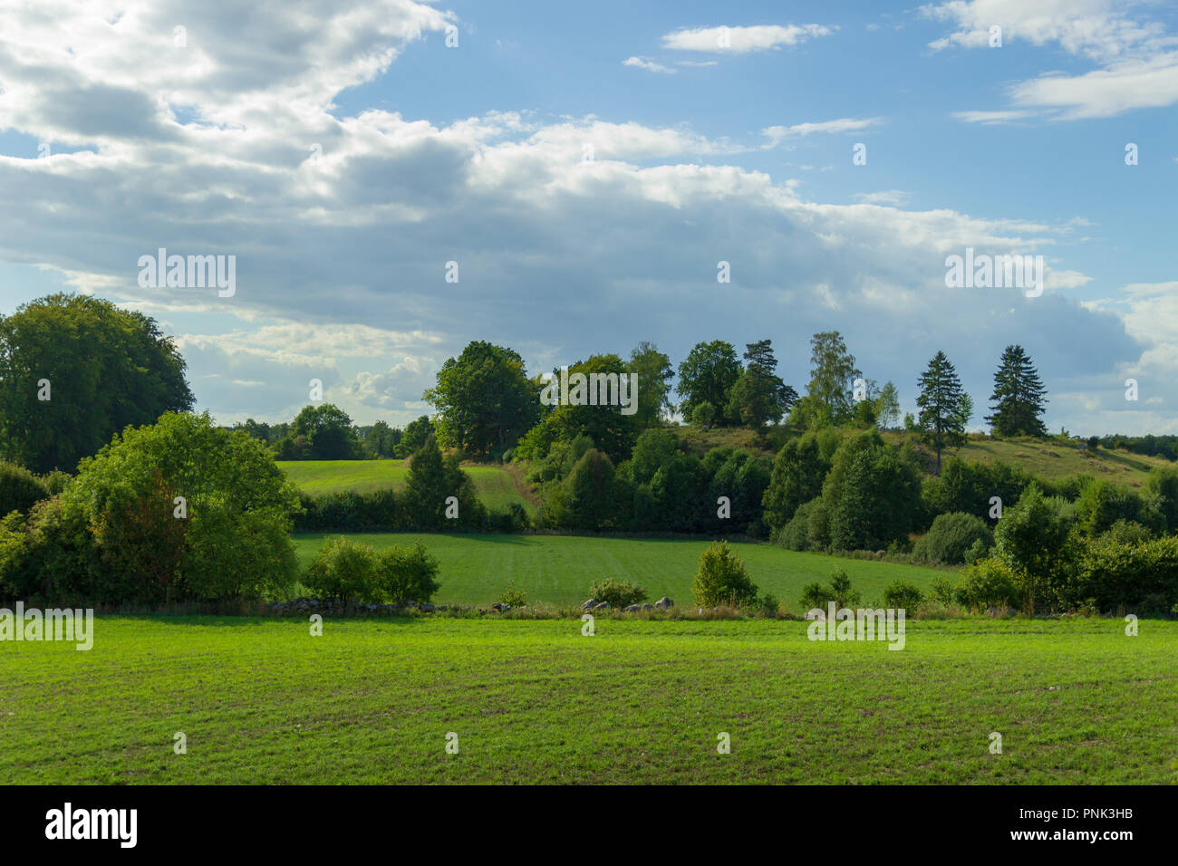 Green field and blue sky wallpaper image Stock Photo Alamy