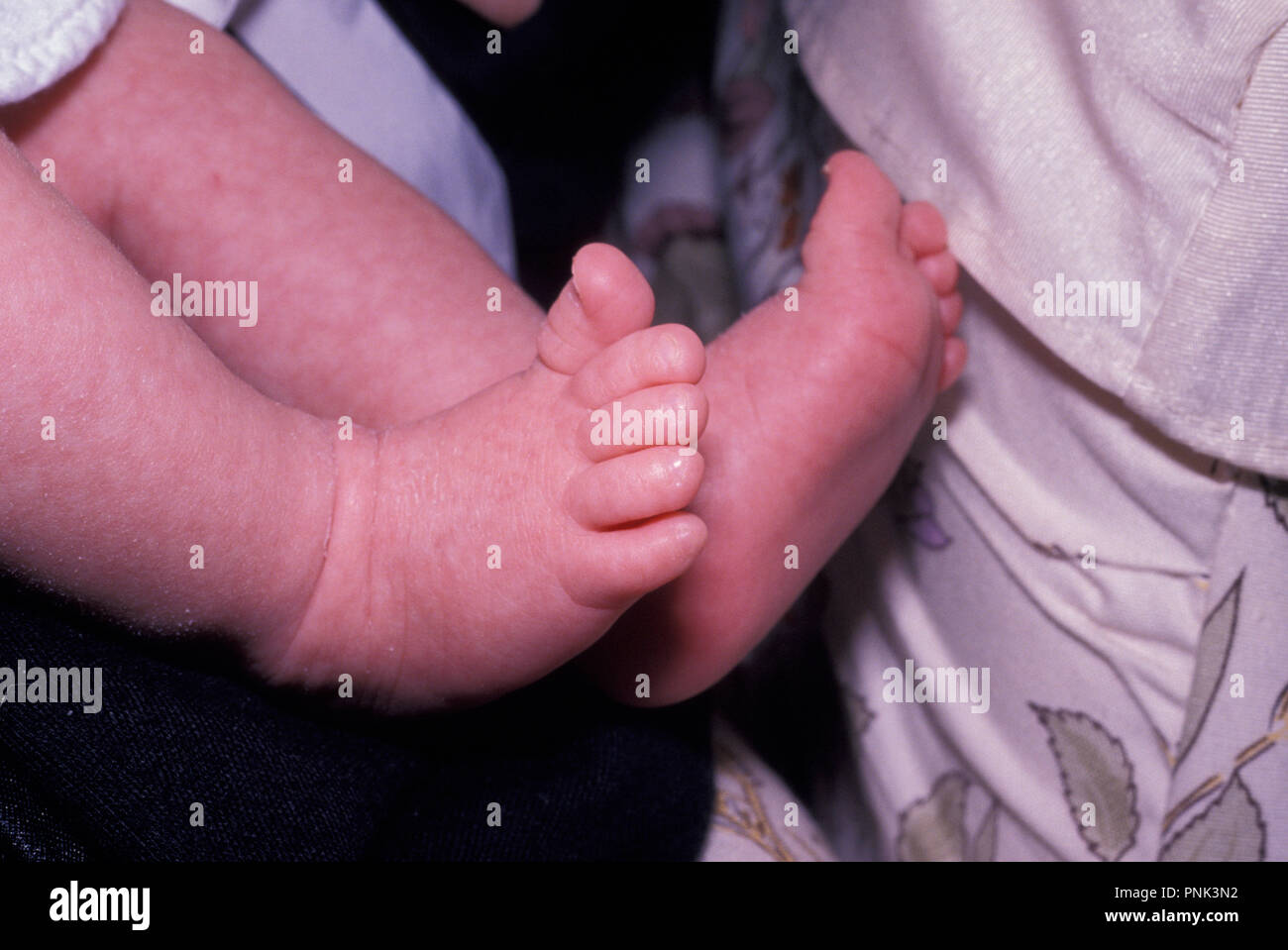 NOT 821516 MALE INFANT TOES THREE WEEKS OLD Stock Photo