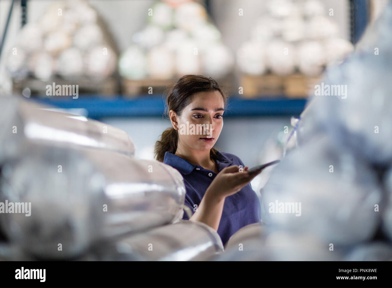 Female scanning item in distribution warehouse Stock Photo