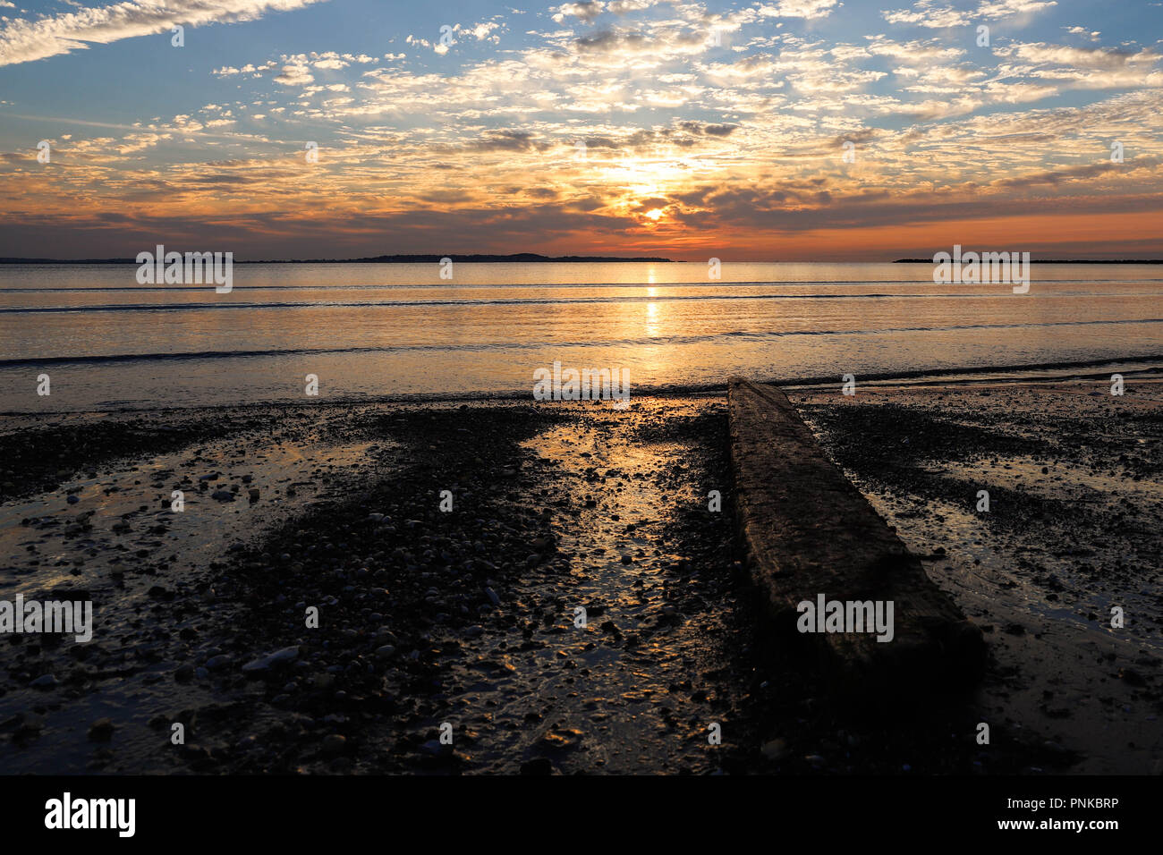 Sunrise on the beach with driftwood Stock Photo - Alamy