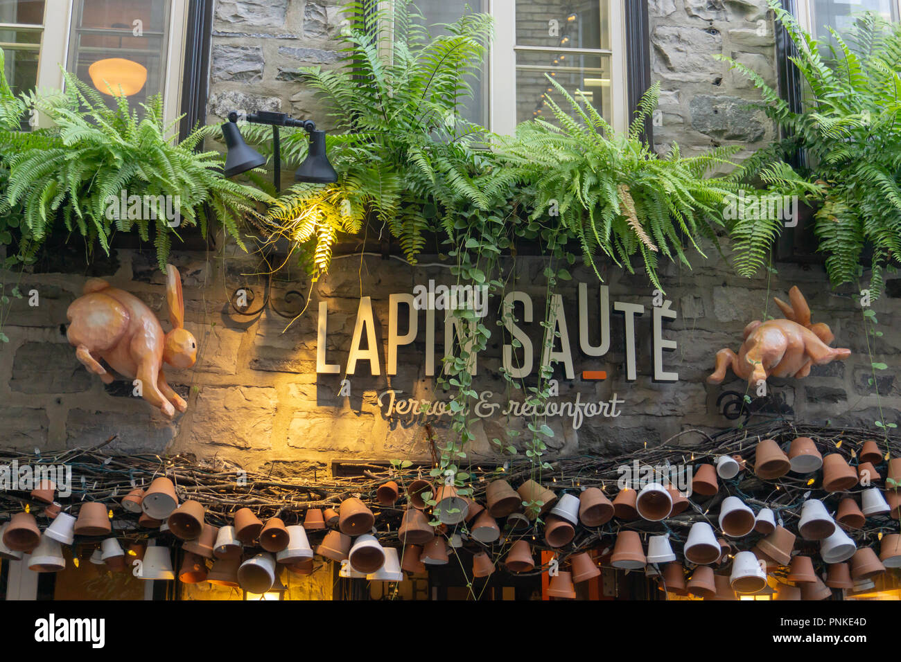 Bunnies, pots and ferns advertising Lapin Saute Stock Photo