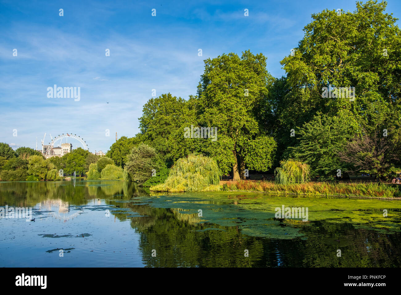 View of St James's Park in  London with London Eye in the background on a beautiful summer afternoon Stock Photo