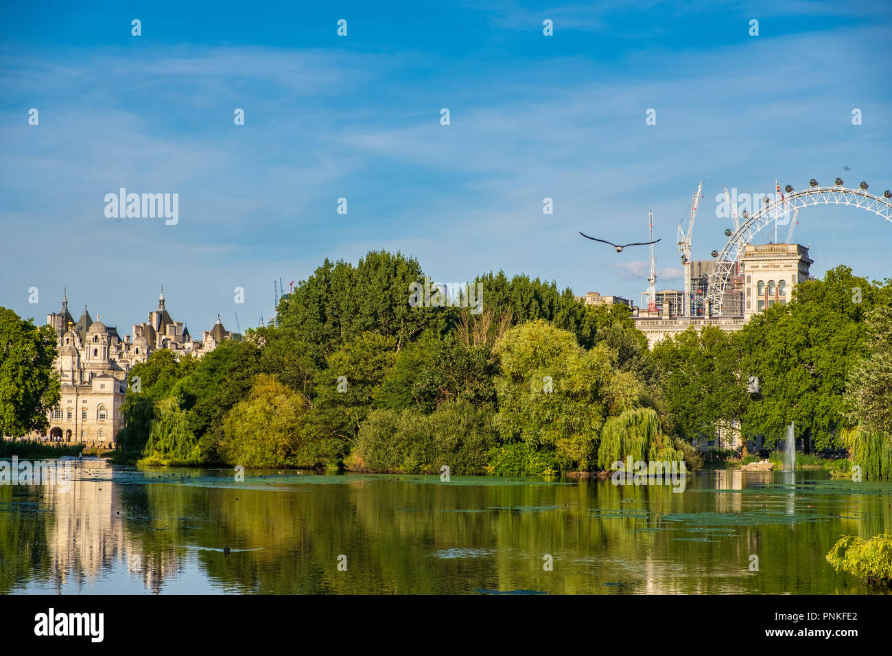 Beautiful view St James's Park in  London with London Eye in the background on a beautiful summer afternoon Stock Photo