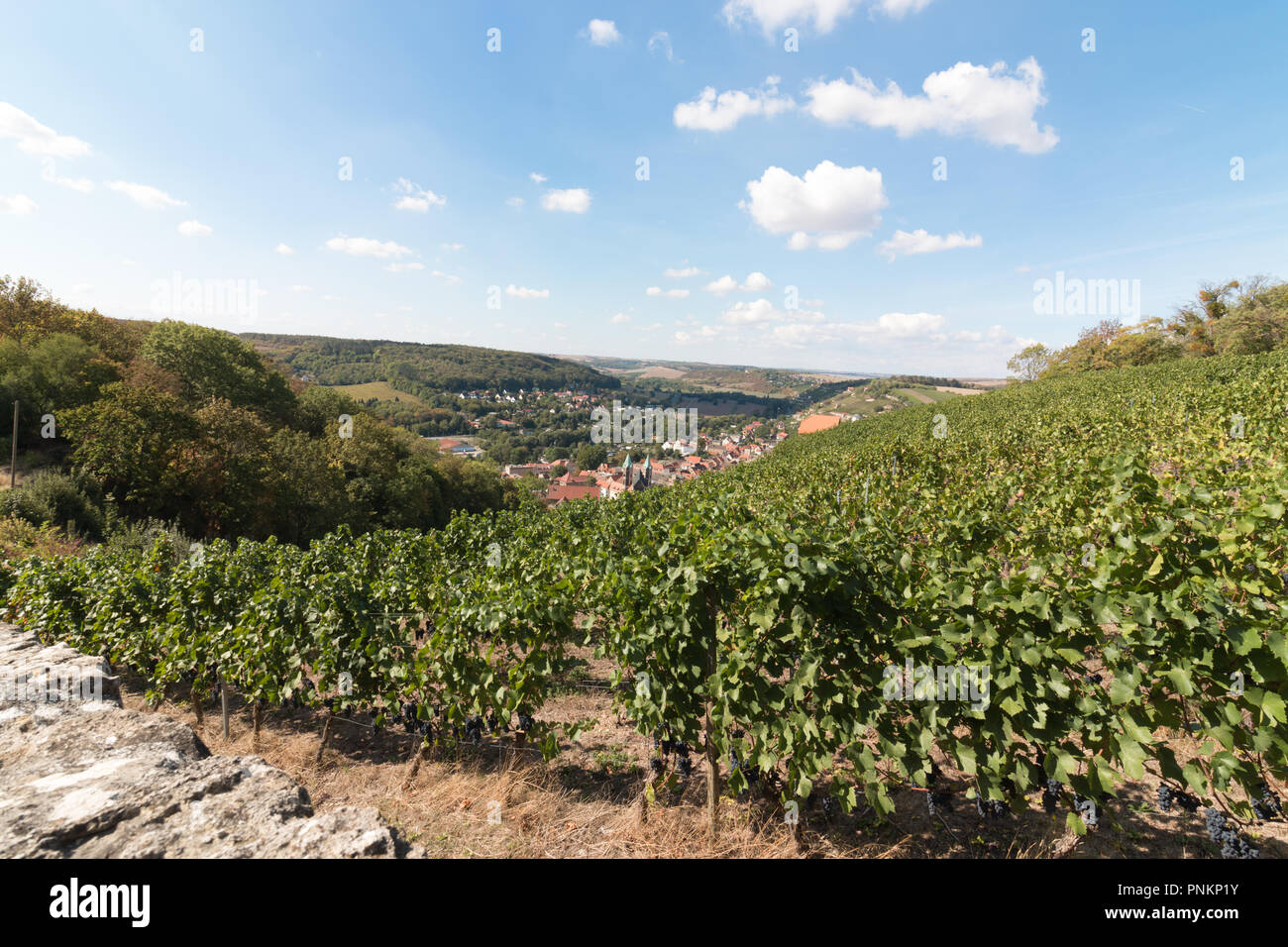 Freyburg, Germany - September 15, 2018: View of the city of Freyburg in the northernmost wine-growing region of Germany, the Saale-Unstrut region, Ger Stock Photo