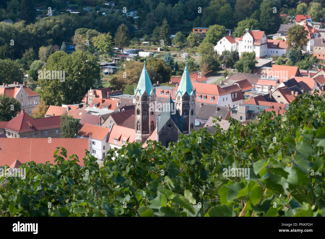 Freyburg, Germany - September 15, 2018: View of a vineyard with vines. , Germany - September 15, 2018: View of the church St. Marien in the wine-growi Stock Photo