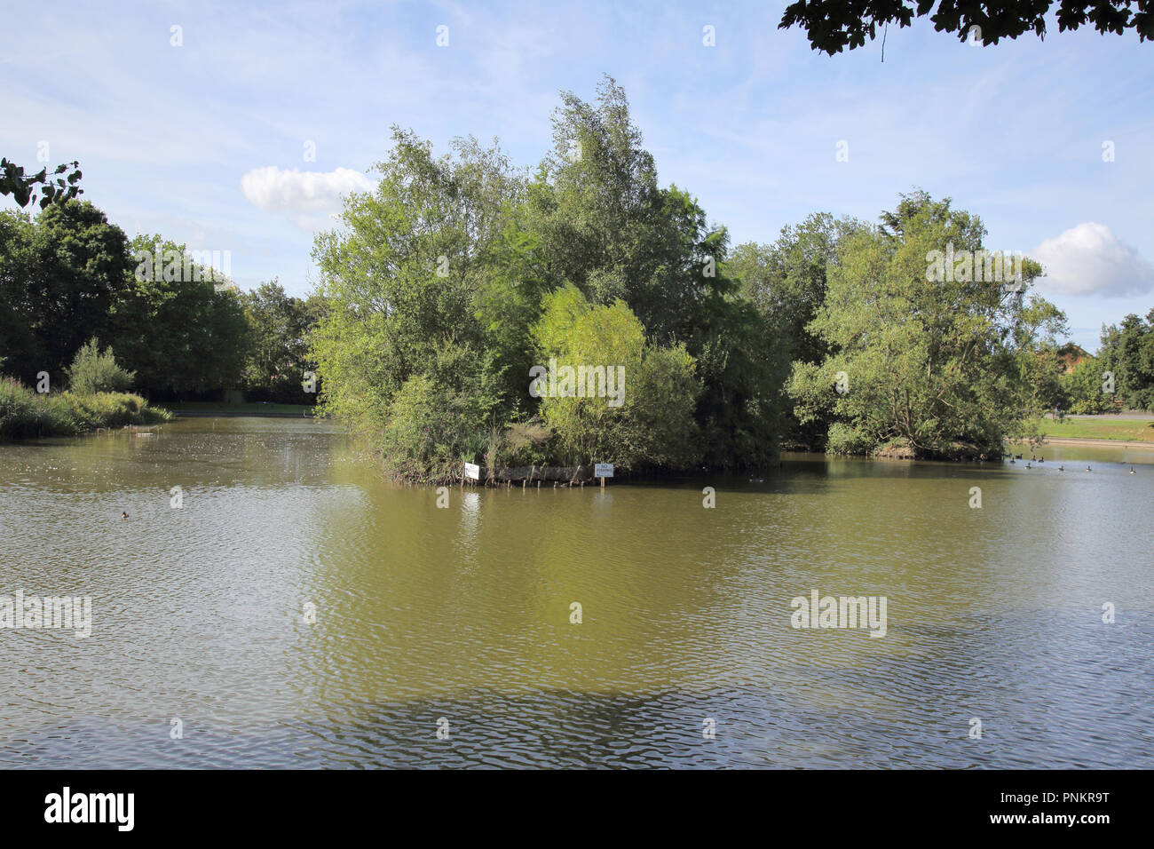 hailsham common and pond east sussex Stock Photo Alamy