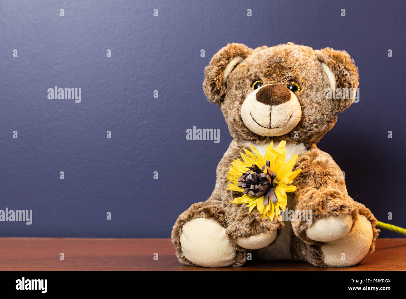 Stuffed hand made poorly bear with plaster and flowers for Get well soon  isolated over white background Stock Photo - Alamy