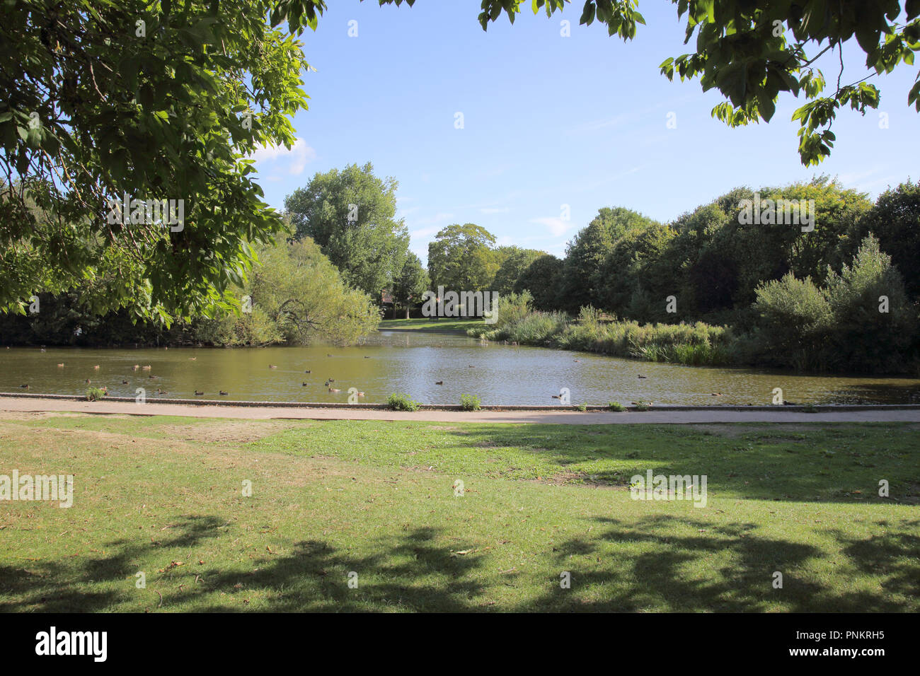 hailsham common and pond east sussex Stock Photo Alamy