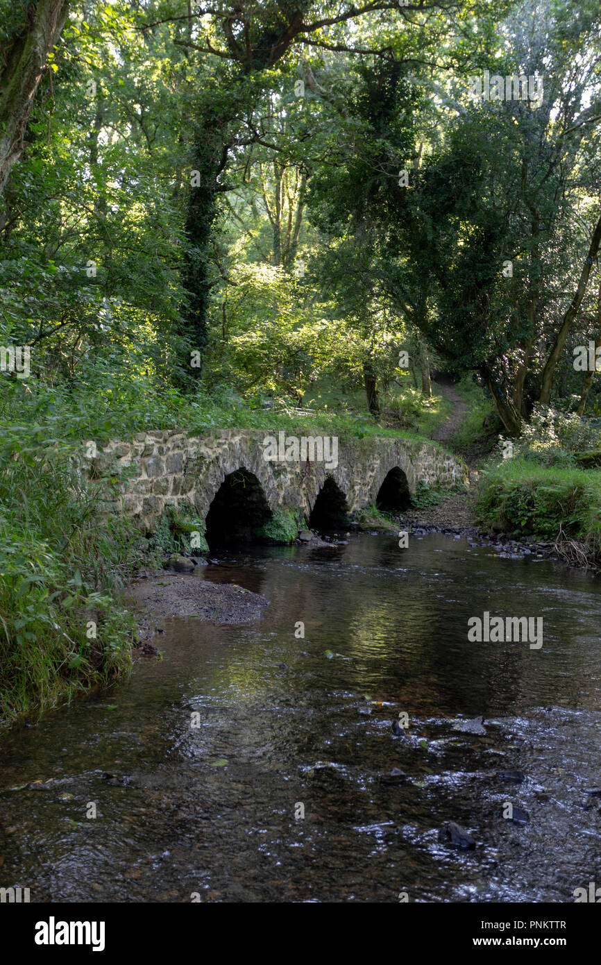 An ancient packhorse and cart bridge over the Burry Pill stream, in Cheriton Valley, Gower, Wales, which was recorded in a survey in the reign of Eliz Stock Photo