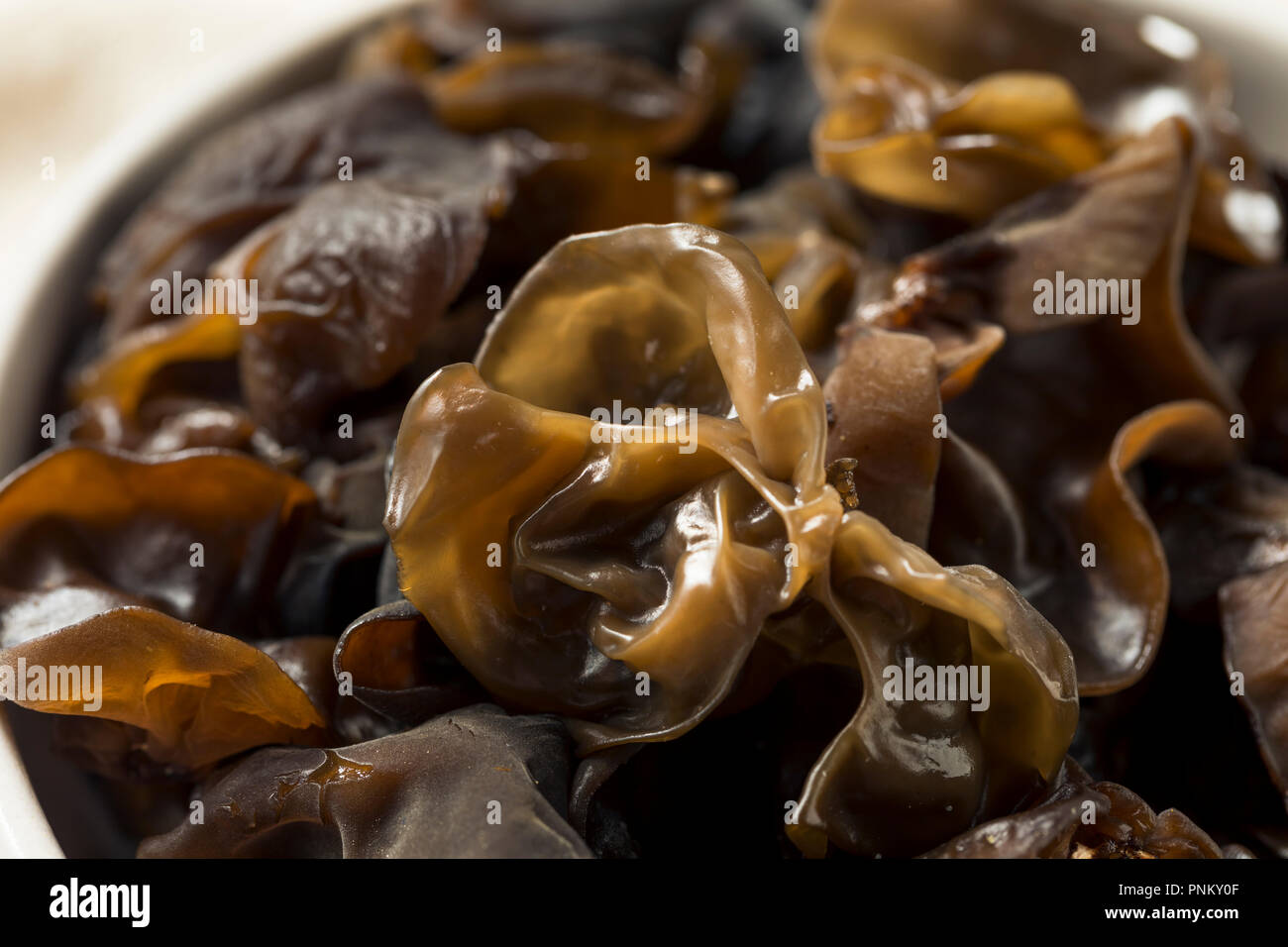 Raw Organic Wood Ear Mushrooms in a Bowl Stock Photo Alamy