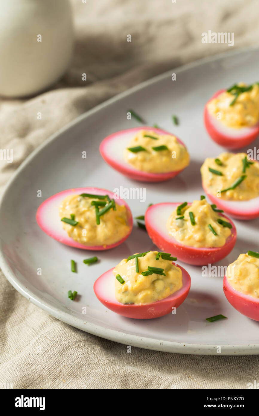 Homemade Pink Pickled Deviled Eggs with Chives Stock Photo