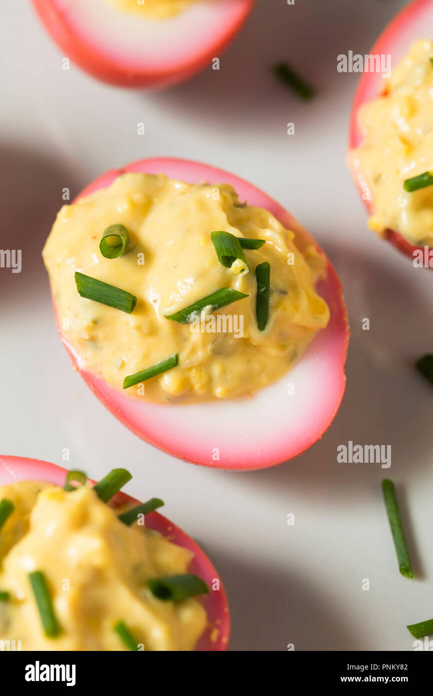 Homemade Pink Pickled Deviled Eggs with Chives Stock Photo