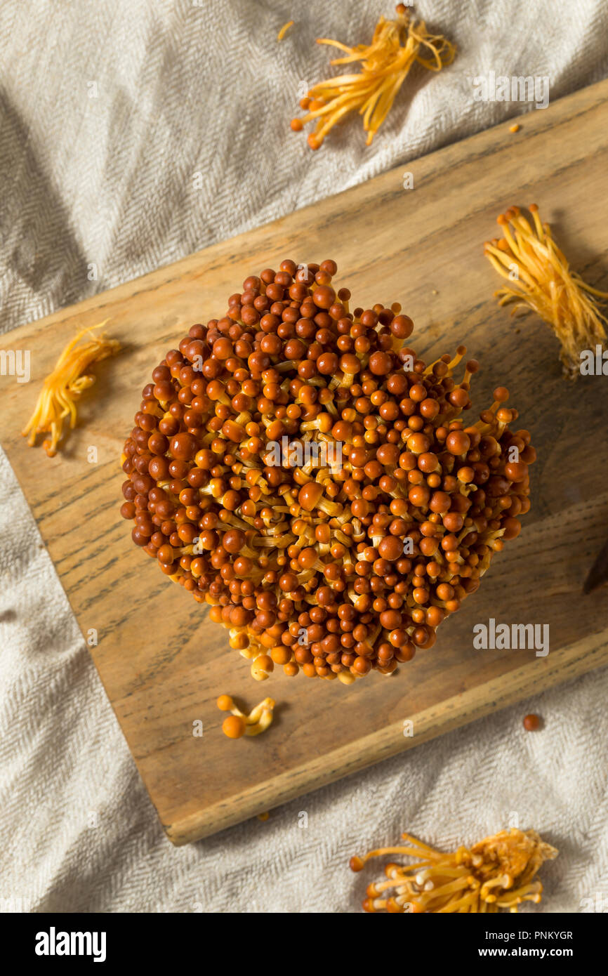 Organic Raw Golden Enoki Mushrooms Ready to Cook Stock Photo