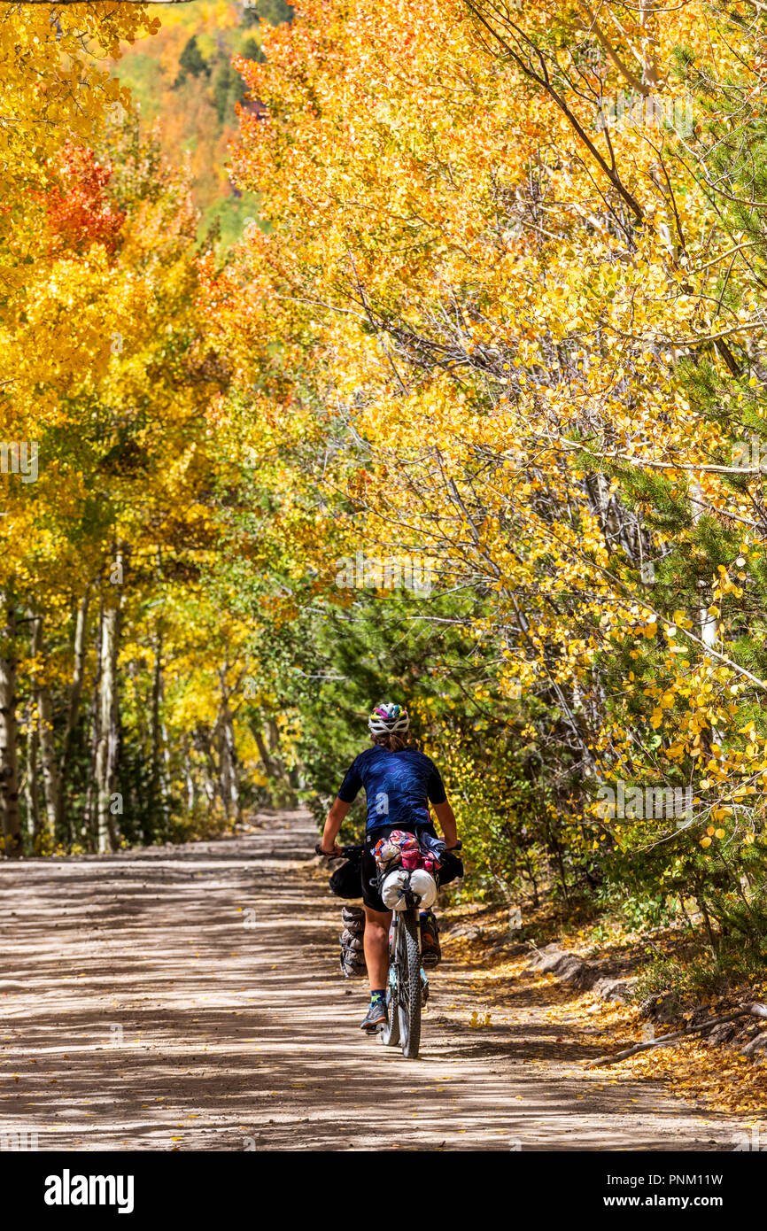Female touring bicyclist on Marshall Pass Road, below Monarch Crest Trail; Continental Divide; central Colorado; USA Stock Photo