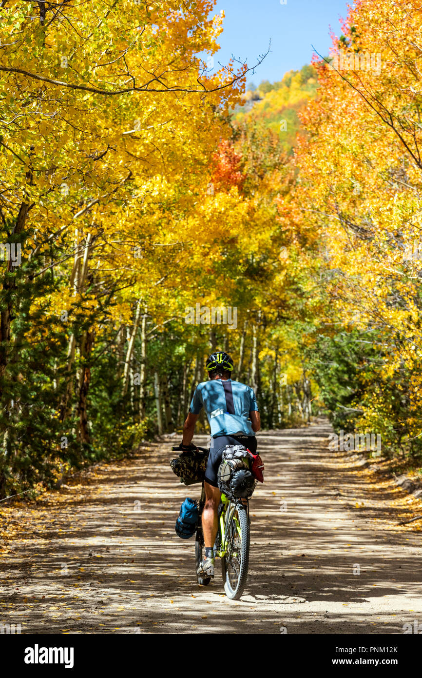 Male touring bicyclist on Marshall Pass Road, below Monarch Crest Trail; Continental Divide; central Colorado; USA Stock Photo
