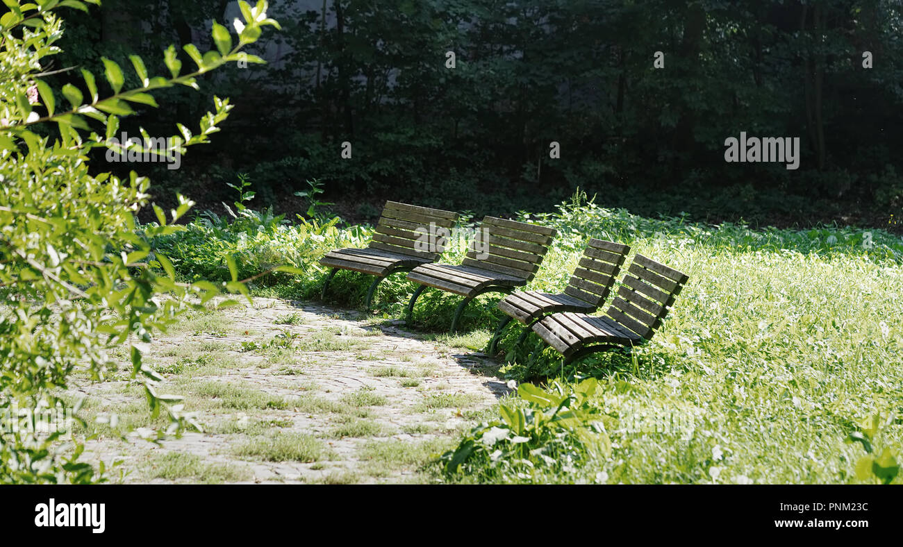 Wooden chairs green seats hi-res stock photography and images - Alamy
