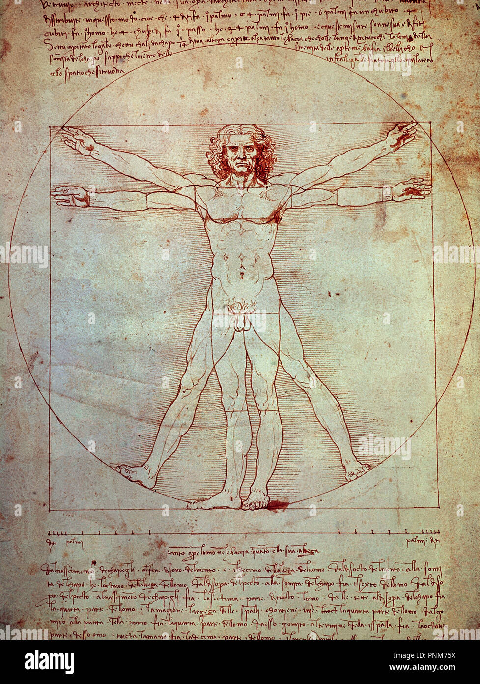 Leonardo da Vinci and the Science of Art – Canvas by New Masters Academy