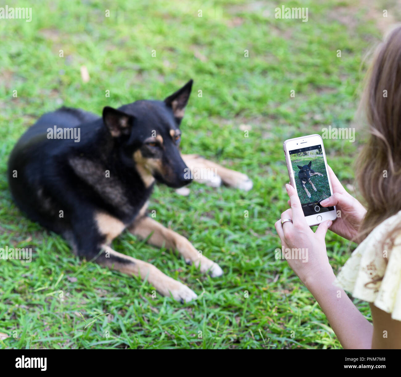 Woman taking a shot of her dog on her mobile phone Stock Photo - Alamy Woman taking a shot of her dog on her mobile phone Stock Photo - Alamy