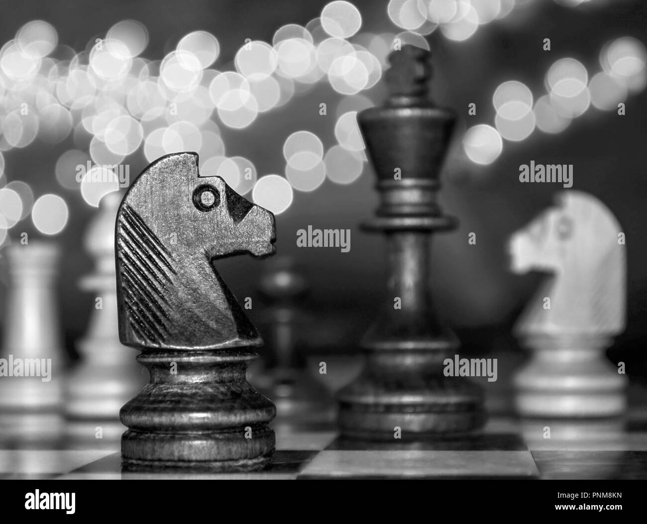 Chess horses and king on festive lighting background Stock Photo Alamy