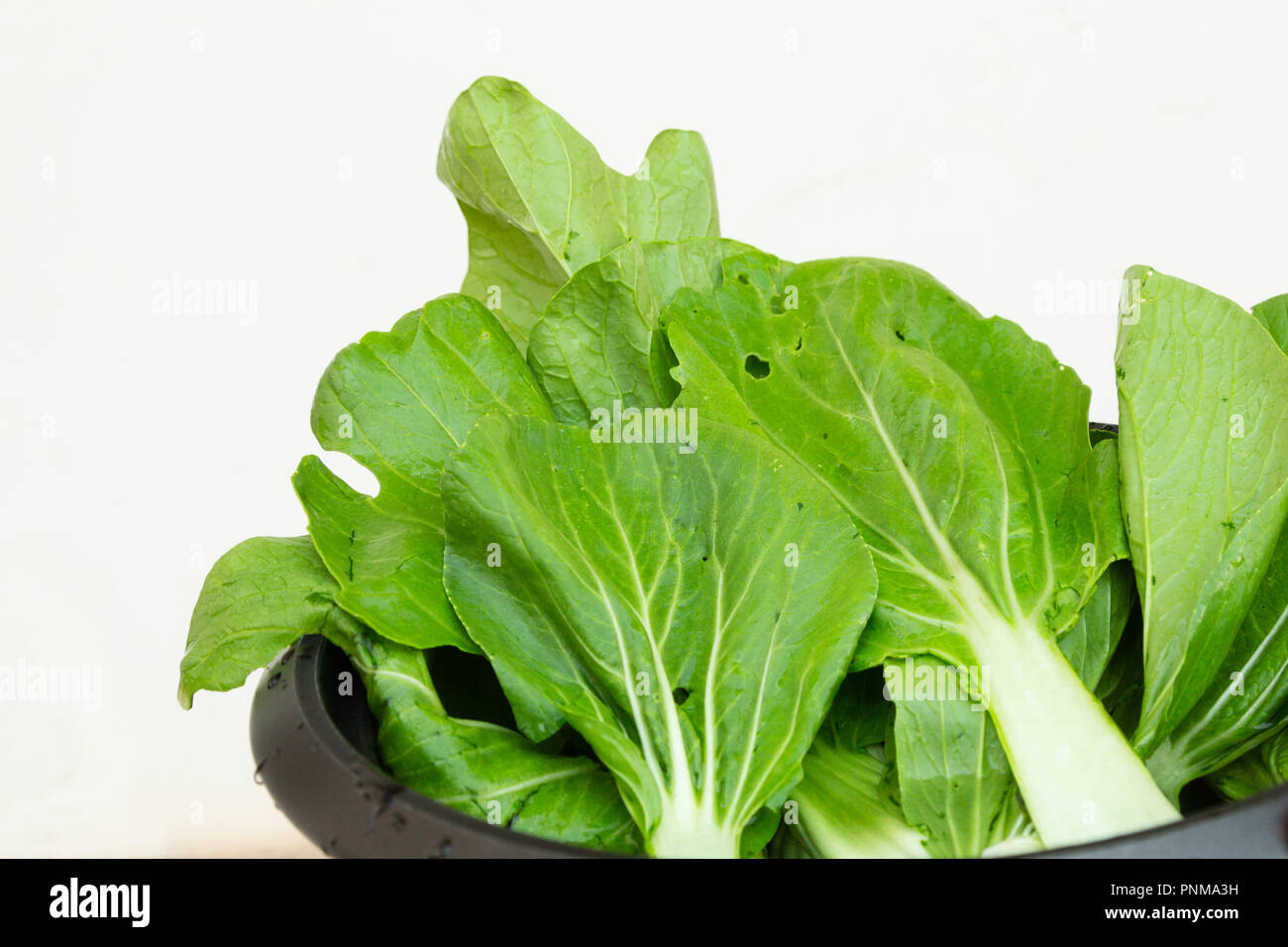 Baby bok choy, pak choi or pok choi (Brassica rapa subsp. chinensis), type of Chinese cabbage, vegetables fresh washed in metal bowl on sink Stock Photo