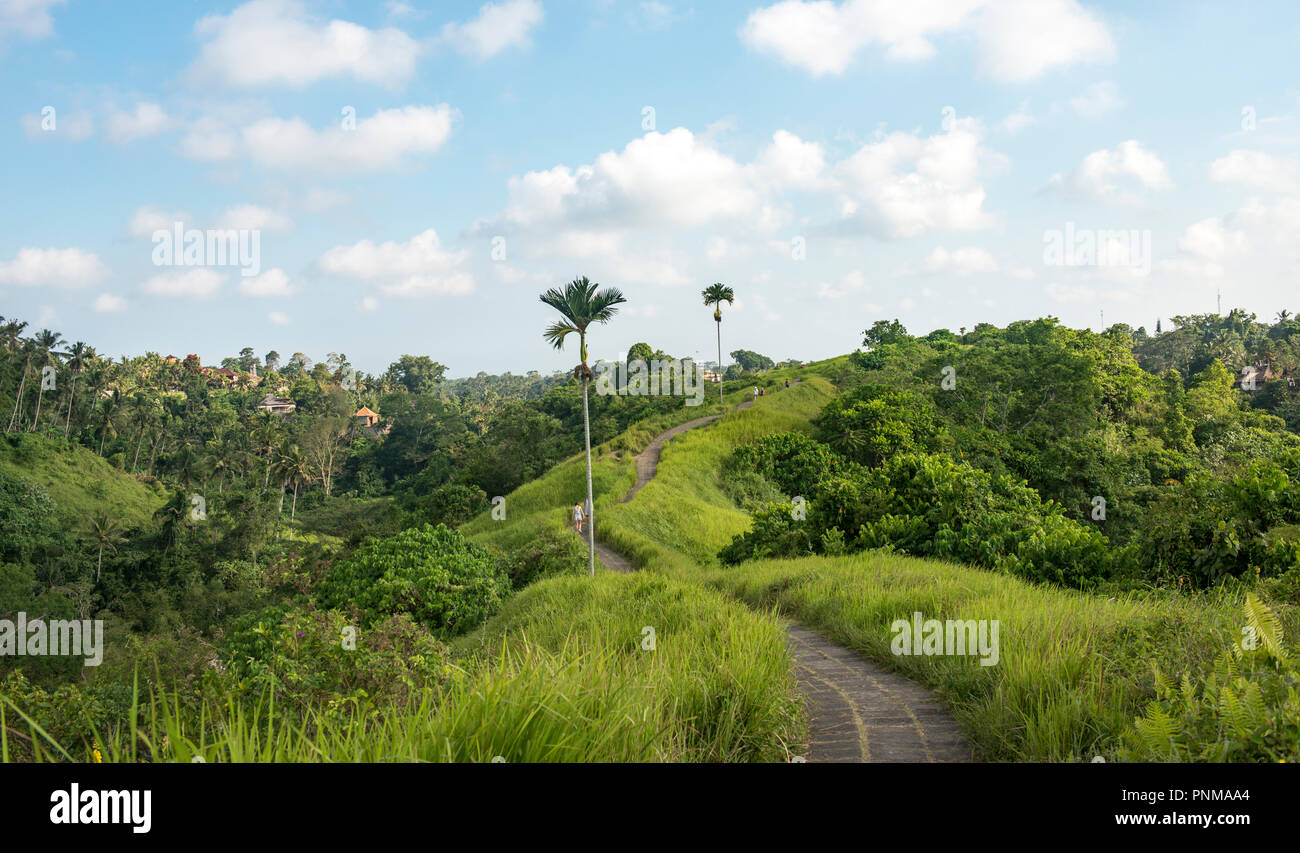 Hiking trail, paved path through tropical vegetation, Campuhan Ridge Walk, Bukit Campuhan, Tjampuhan's Sacred Hill, Ubud, Bali Stock Photo