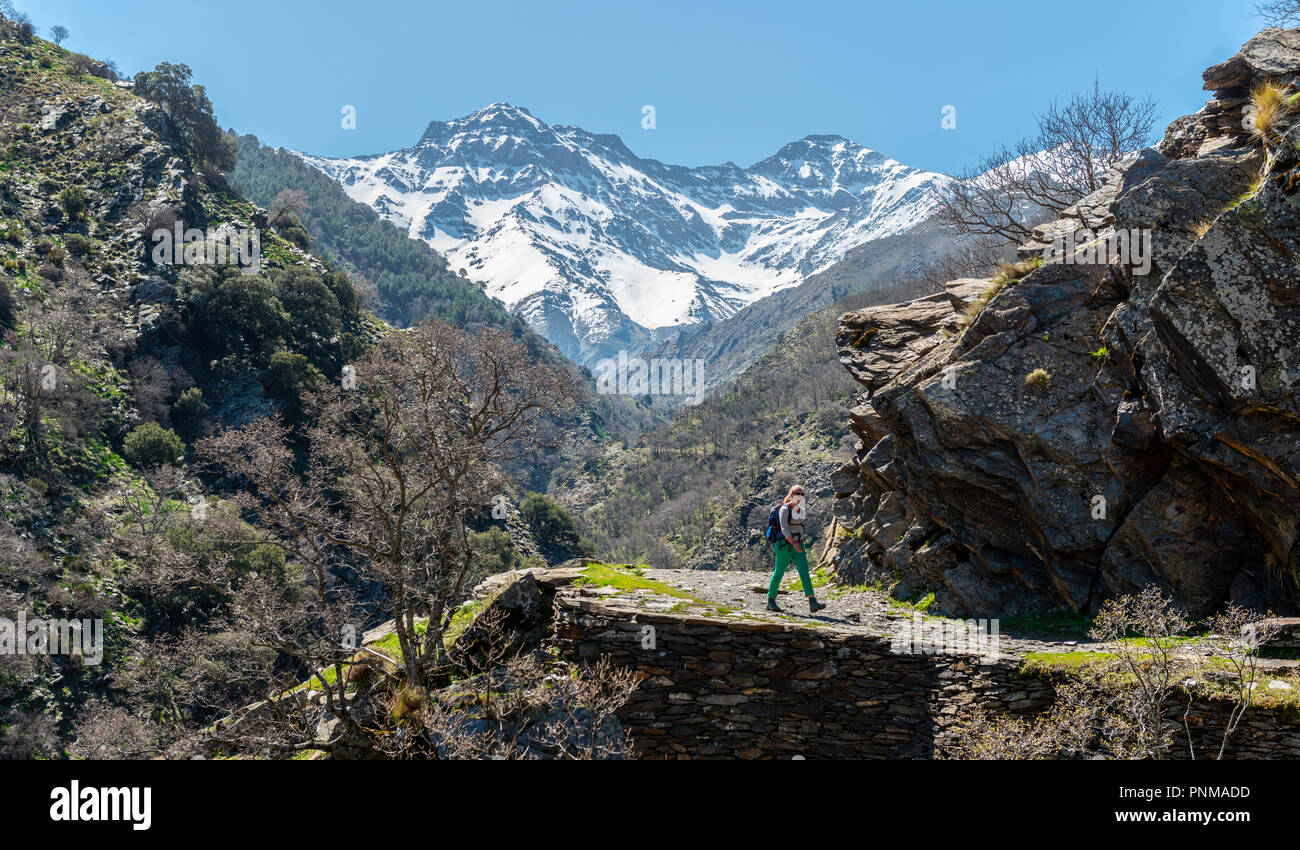 sierra nevada hiking trails