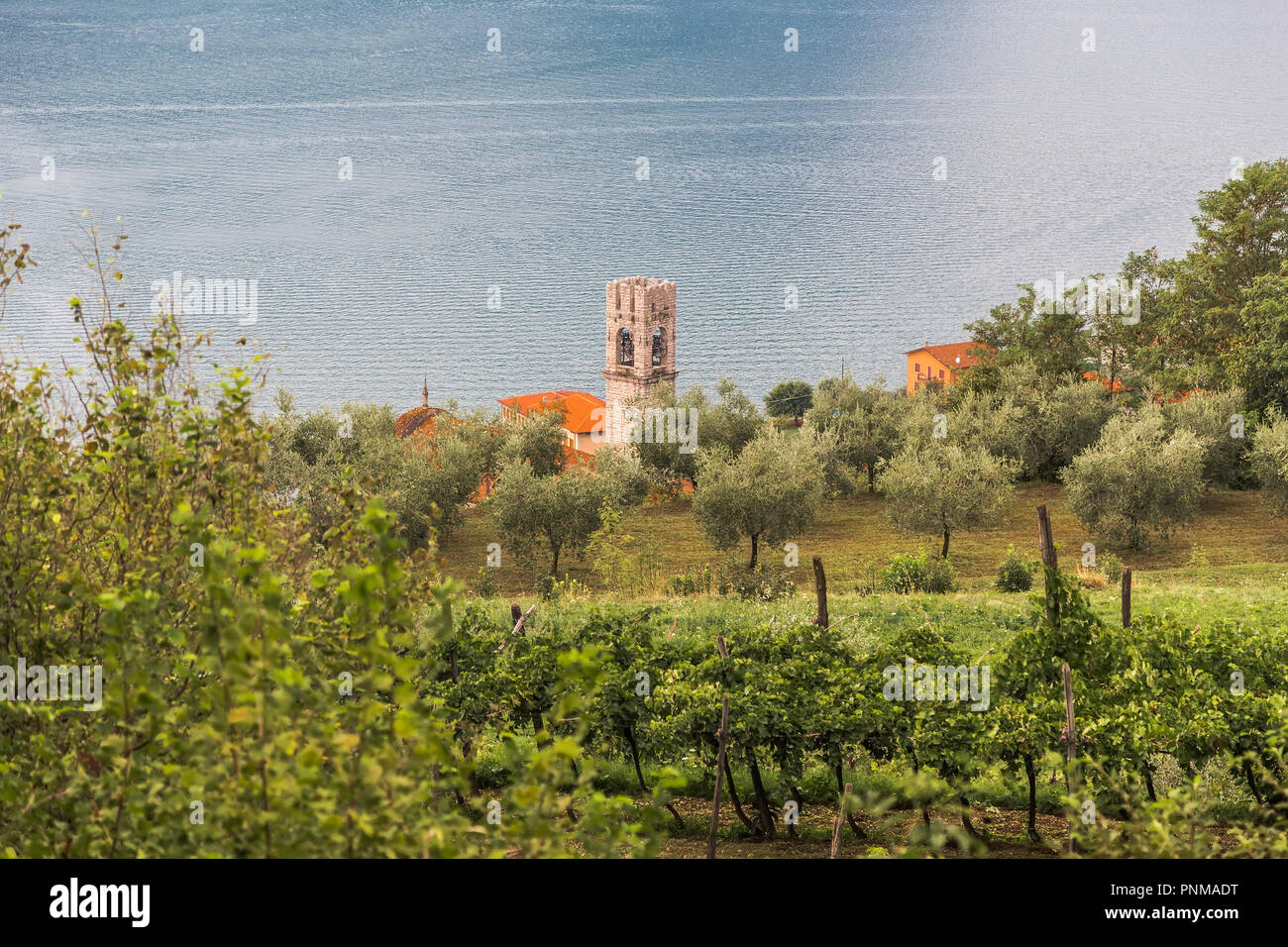 The small village, olive trees and vineyards on the slopes of Monte Isola island in Lake Iseo. Italy Stock Photo
