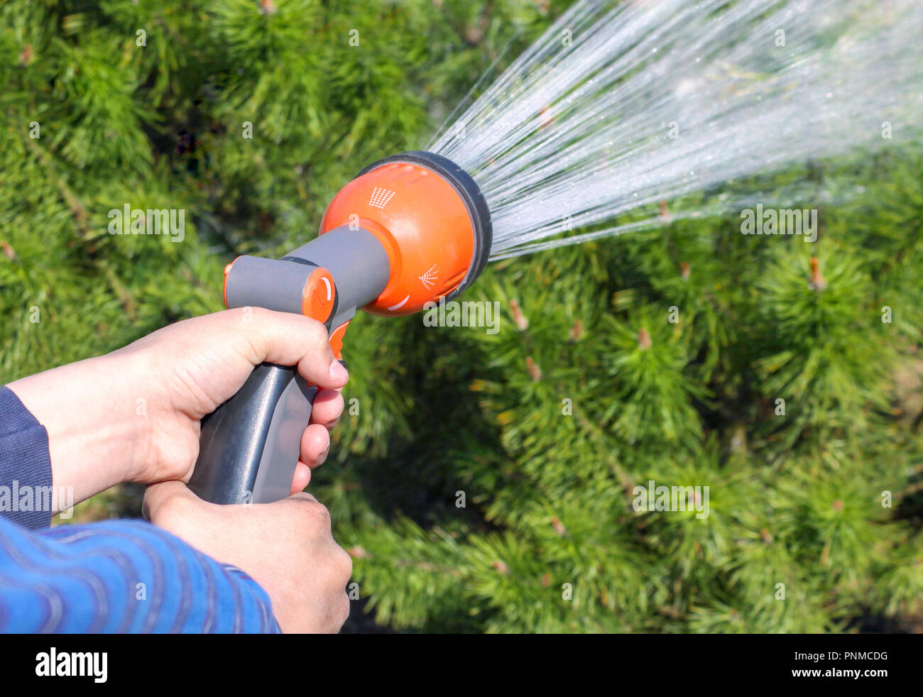 Human hand holding water sprinkler and watering green garden Stock