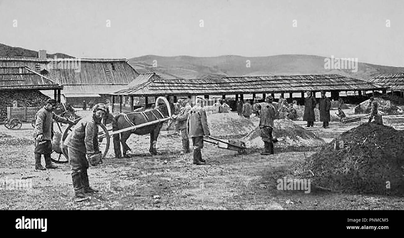 Korea 1904, a view of workers (possibly Russian prisoners) at a Russian border post on the Russia-Korea border Stock Photo