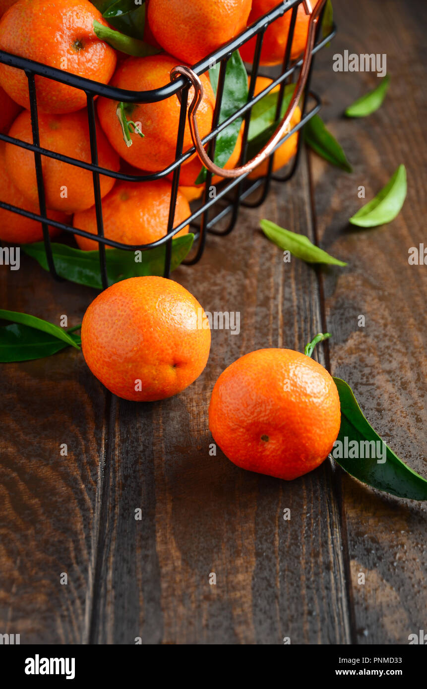 Fresh Tangerine Clementines with Leaves on Dark Wooden Background. Stock Photo