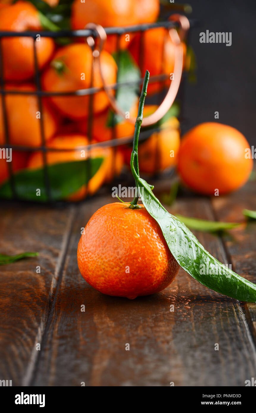 Fresh Tangerine Clementines with Leaves on Dark Wooden Background. Stock Photo