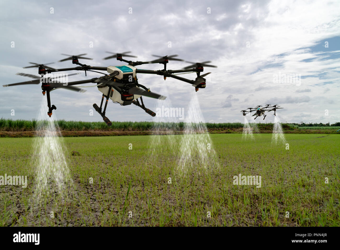 iot smart agriculture industry 4.0 concept, drone (in precision farm) use  for spray a water, fertilizer or chemical to the field, farm for growth a  yi Stock Photo - Alamy