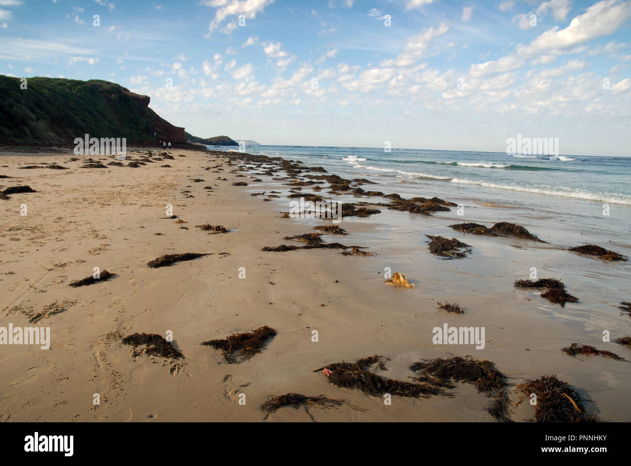 Smiths Beach, Phillip Island, Victoria, Australia Stock Photo Alamy