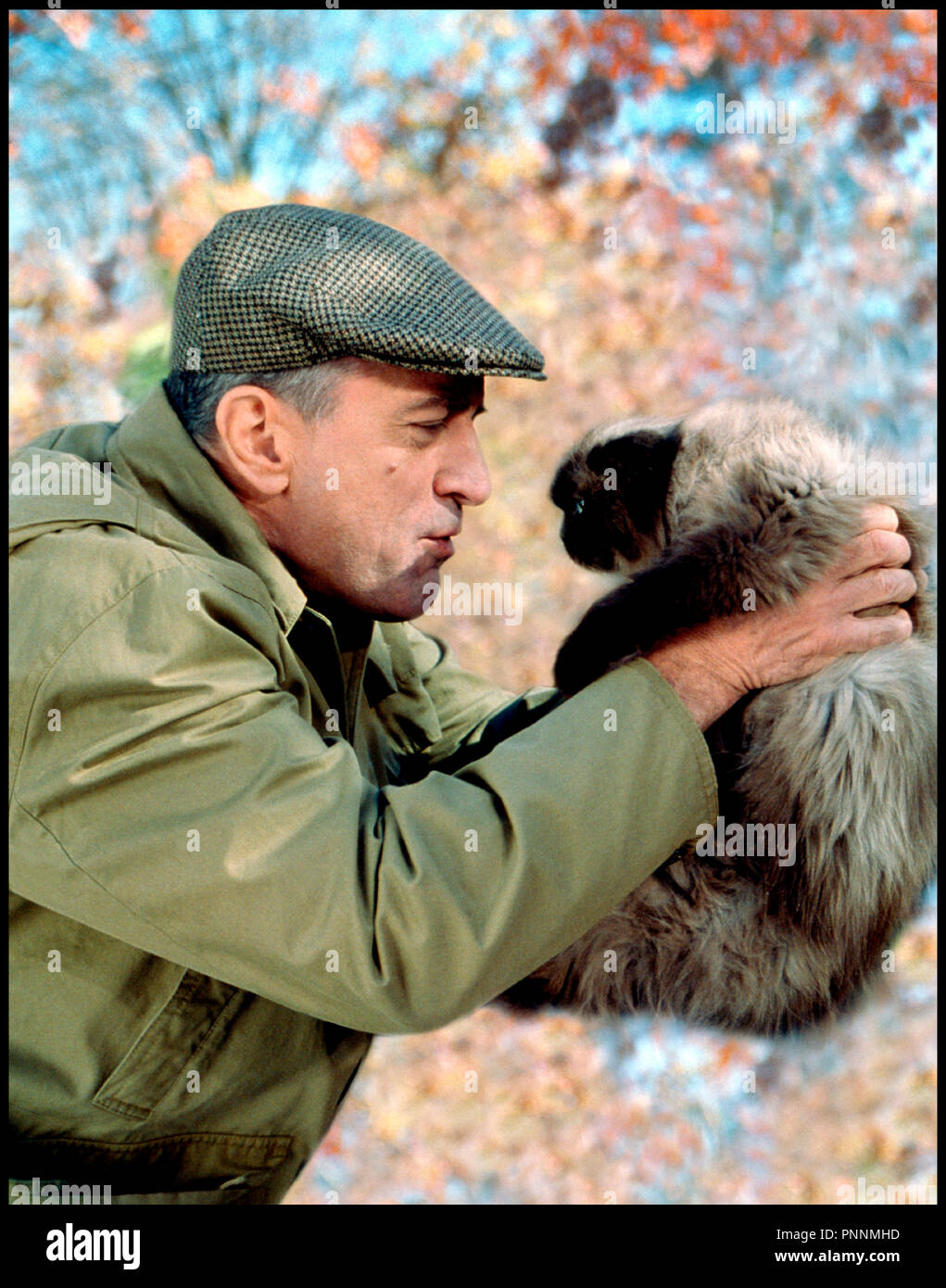 Chat Mon Beau Père Et Moi Beau Pere Stock Photos & Beau Pere Stock Images - Alamy