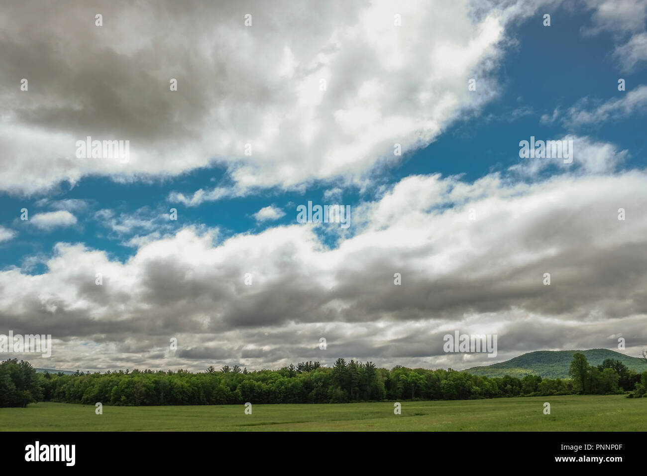 A field at a farm in Amherst, MA Stock Photo Alamy
