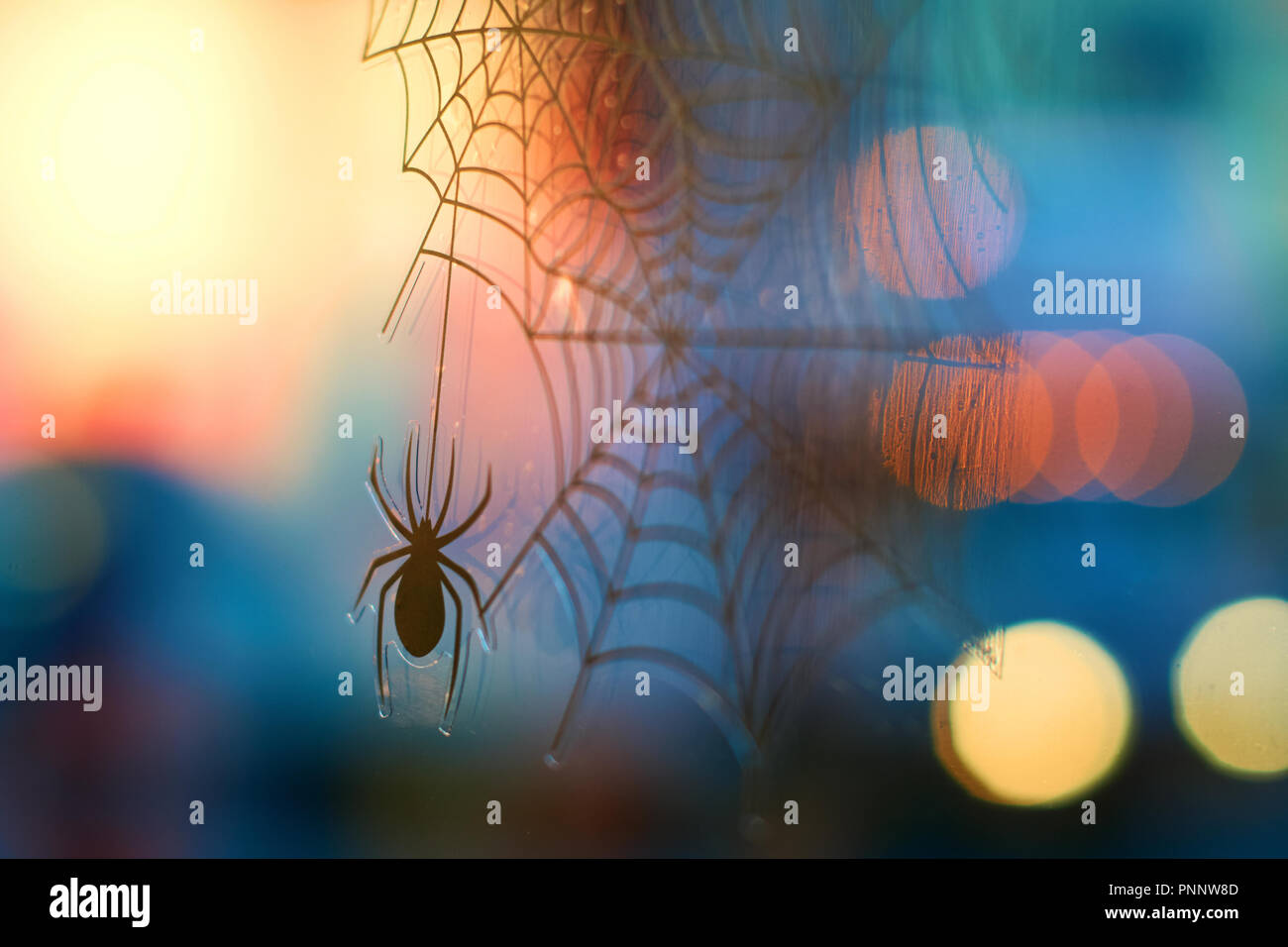 Halloween background with bokeh, spider and cobweb Stock Photo