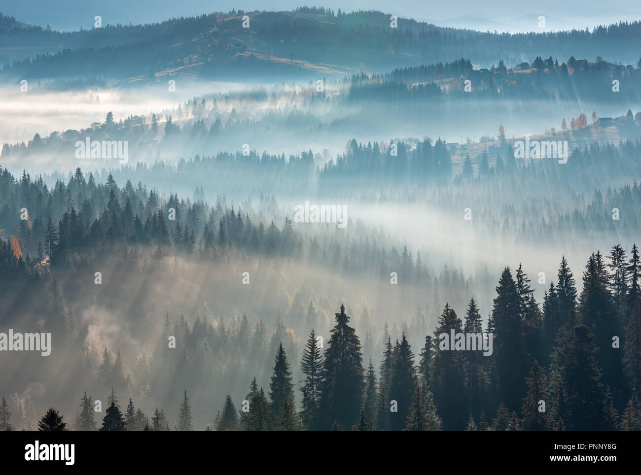 The air. Light and shadows in mist. First rays of sun through fog and trees on slopes. Morning autumn Carpathian Mountains landscape (Ivano-Frankivsk  Stock Photo