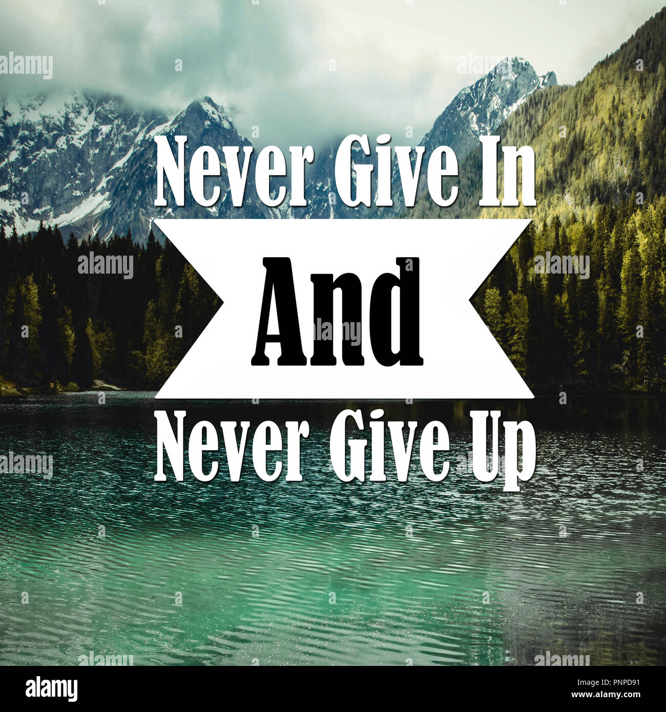 Inspirational Quotes Never give in and never give up, positive