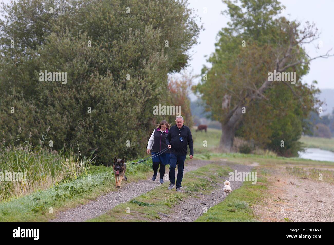 Ashford, Kent, UK. 22th Sep, 2018. UK Weather: The unsettled weather continues as it starts to pour down with rain in the village of Hamstreet just outside Ashford. A couple and their dogs walk along the sewer ditch tractor path. © Paul Lawrenson 2018, Photo Credit: Paul Lawrenson / Alamy Live News Stock Photo